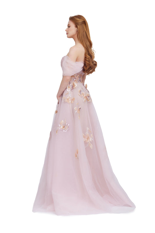 Tulle Embroidered Ball Gown