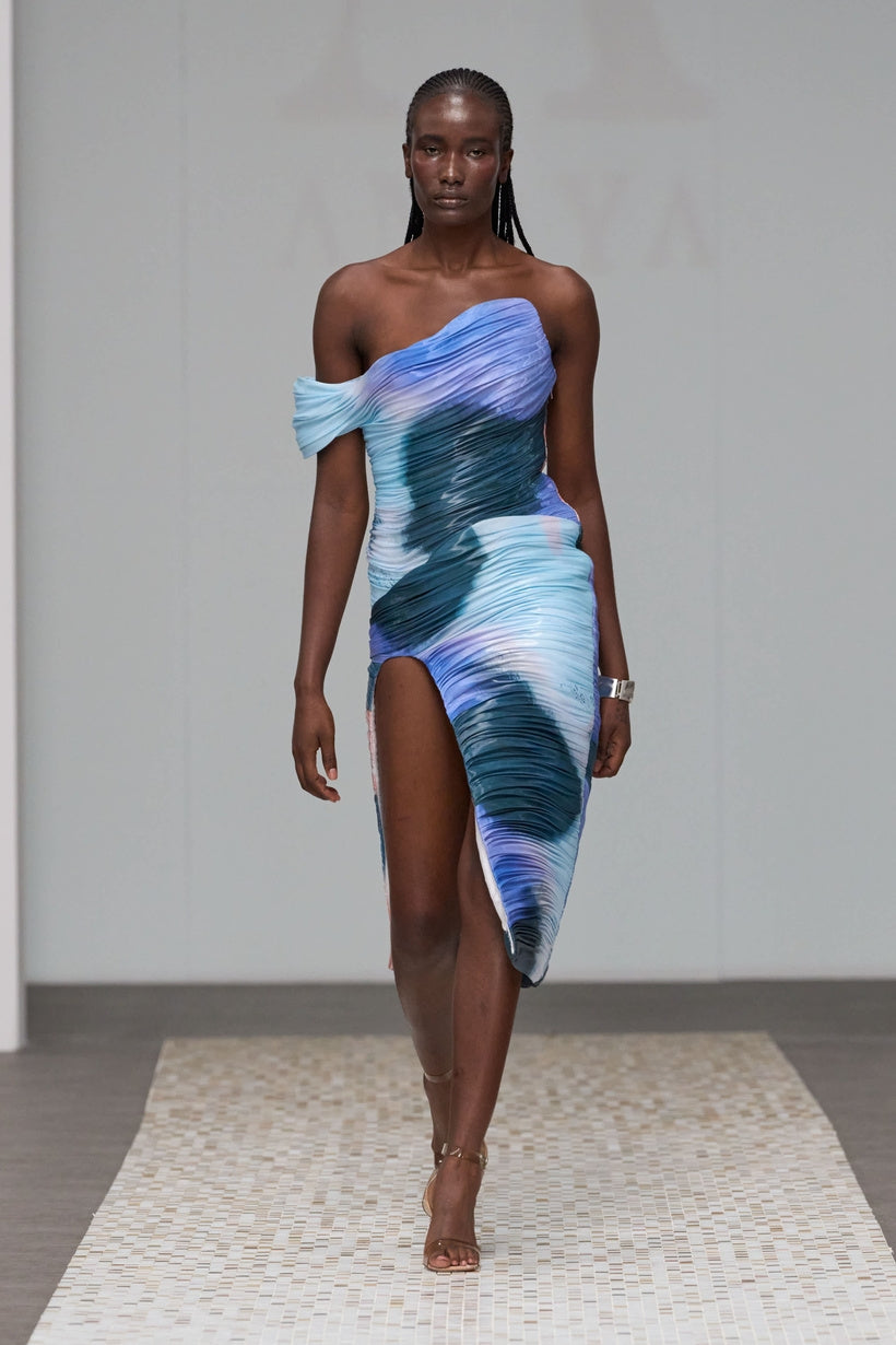 Luna Organza Dress