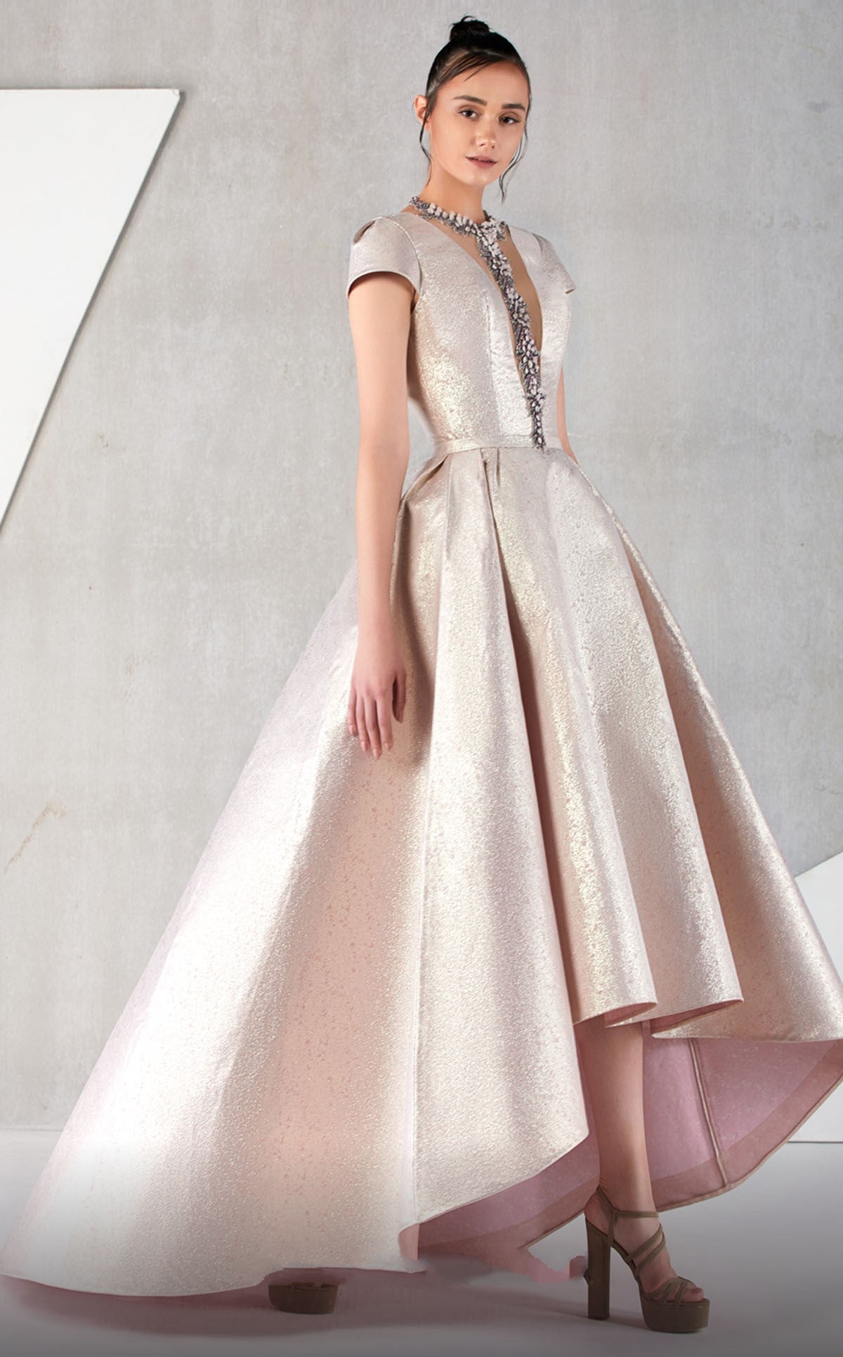 Short Sleeve High-Low A-Line Gown