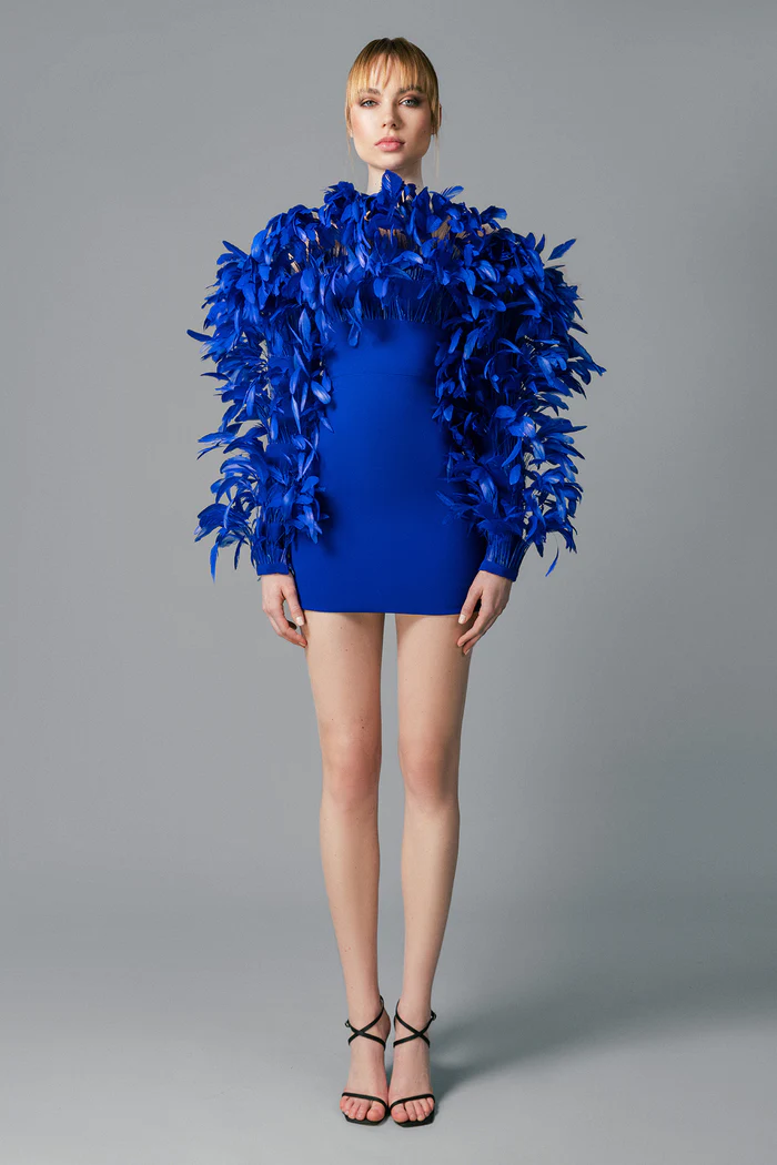 Mini Crepe Dress with Feathers