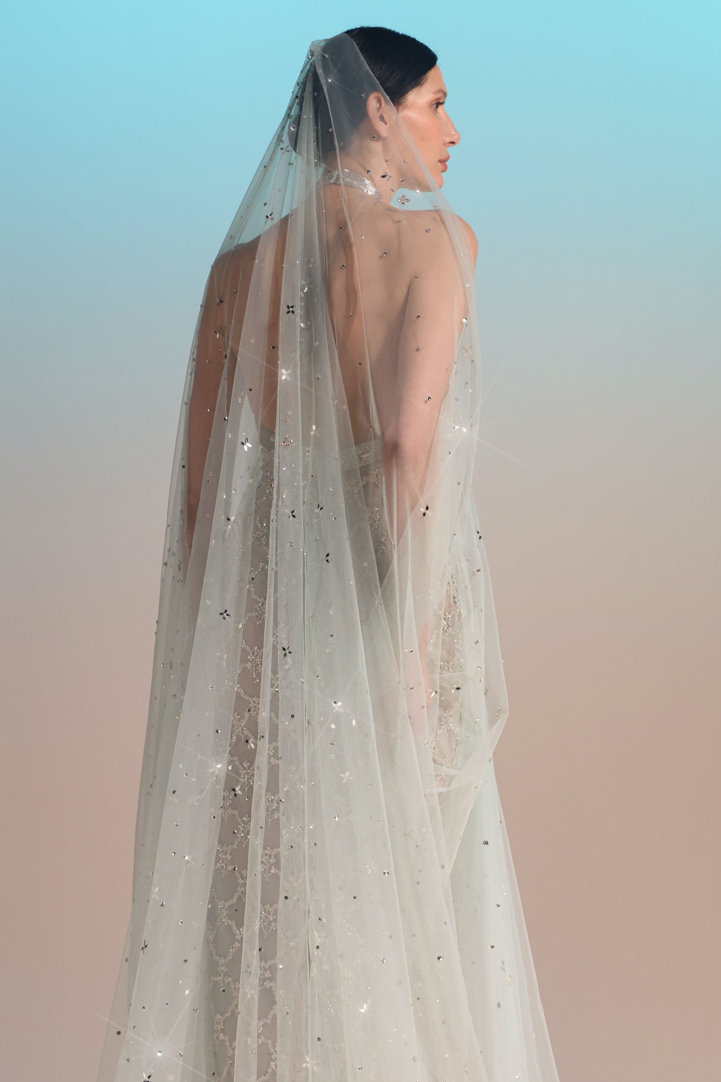 Halter-Neck Sheer Cape Gown