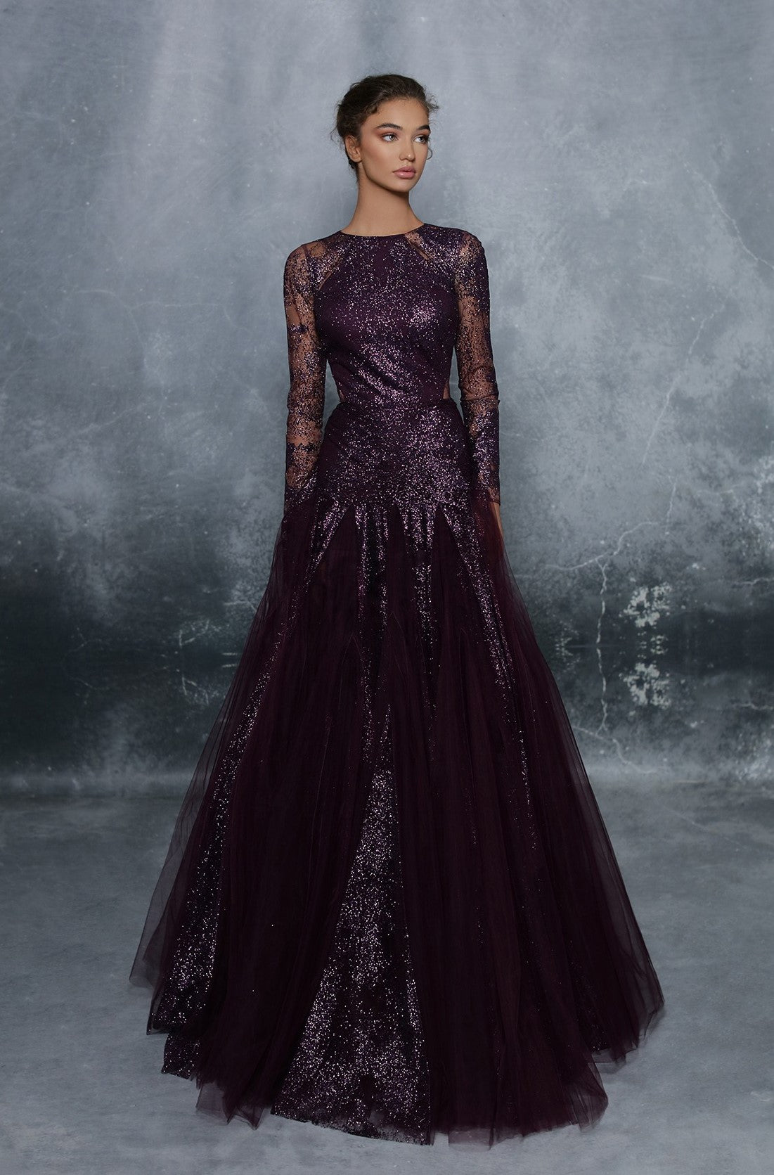 Sheer Long Sleeve Glitter Tulle Ball Gown
