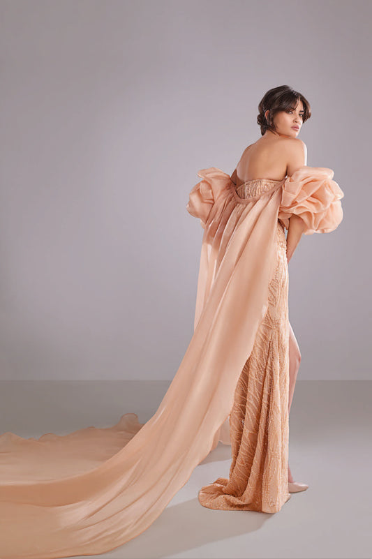 Embroidered Lace with Organza Cape