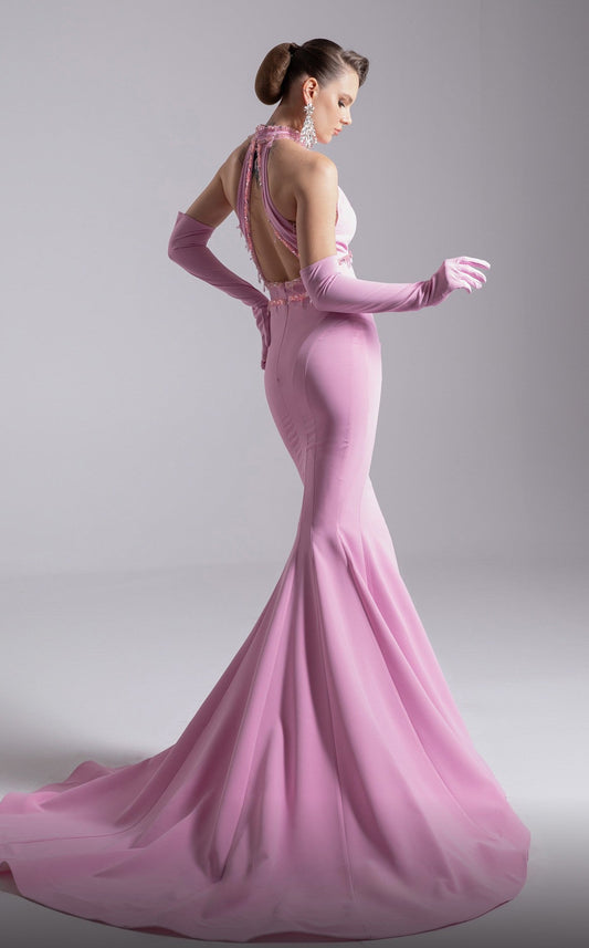 Halter Neckline Gown