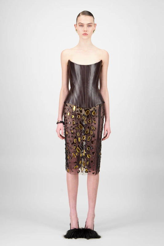Leather Corset & Tulle Skirt