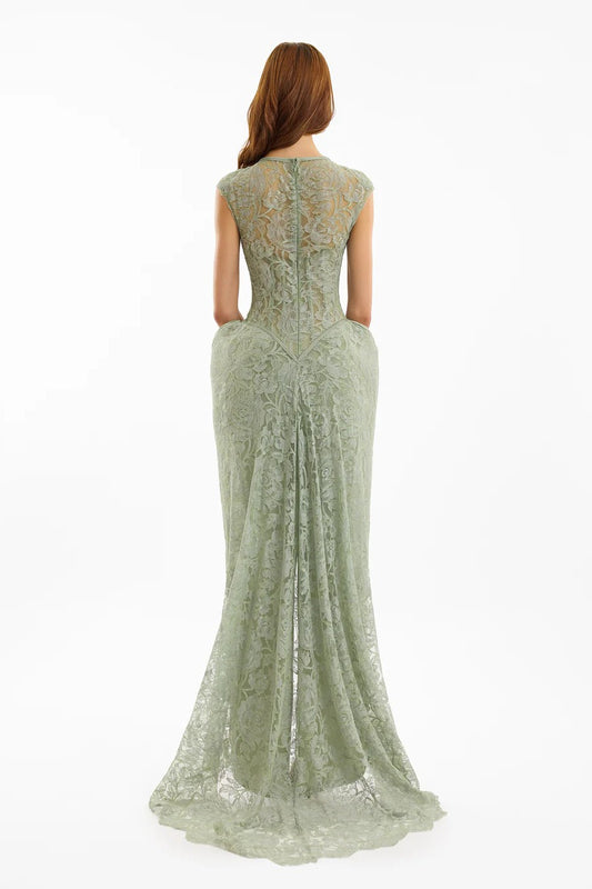 Sculpted Lace Dress with Sheer Bodice