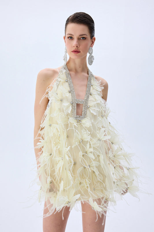 Mini Tulle Ivory Dress