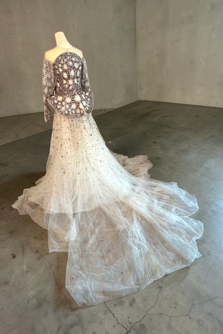 Beaded Long Sleeve Gown