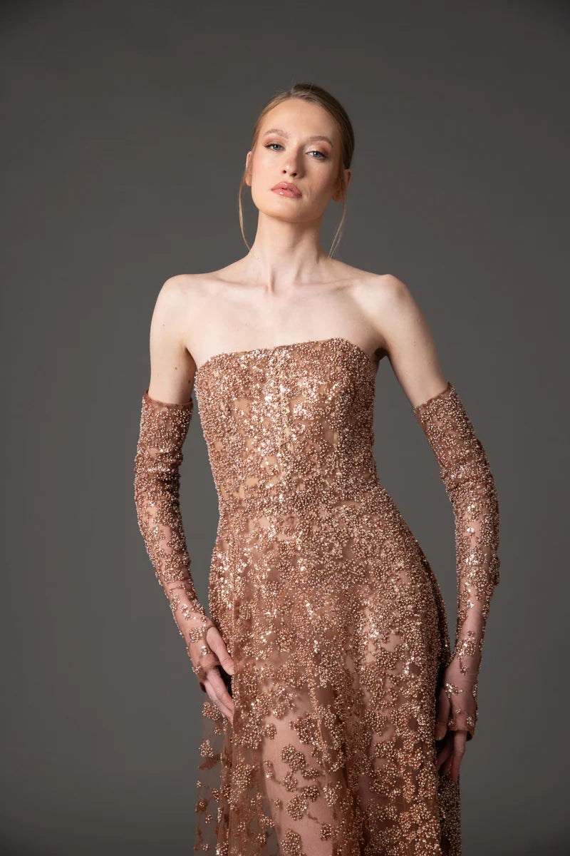 Brown Embroidered Tulle Gown