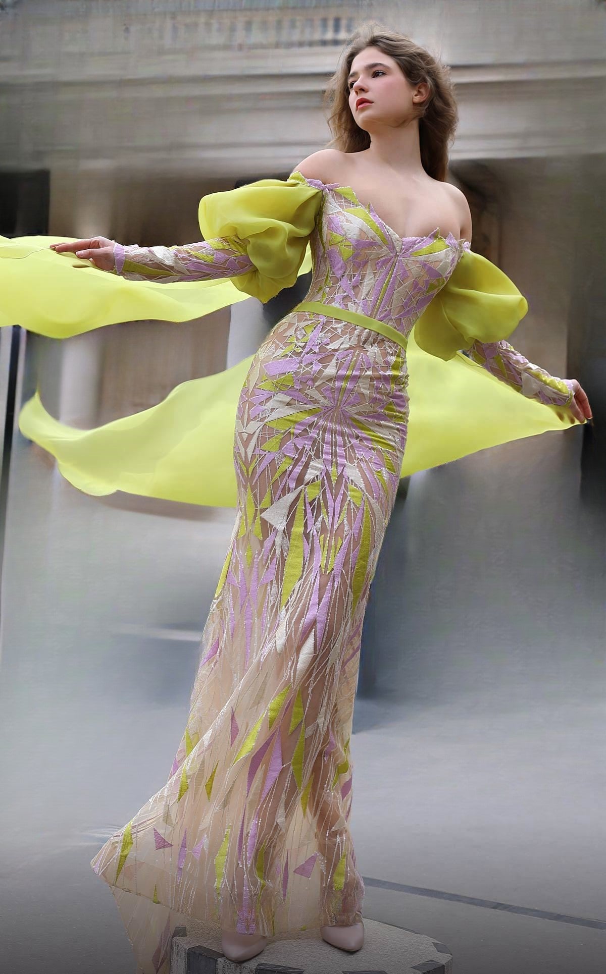 Organza Fitted Gown