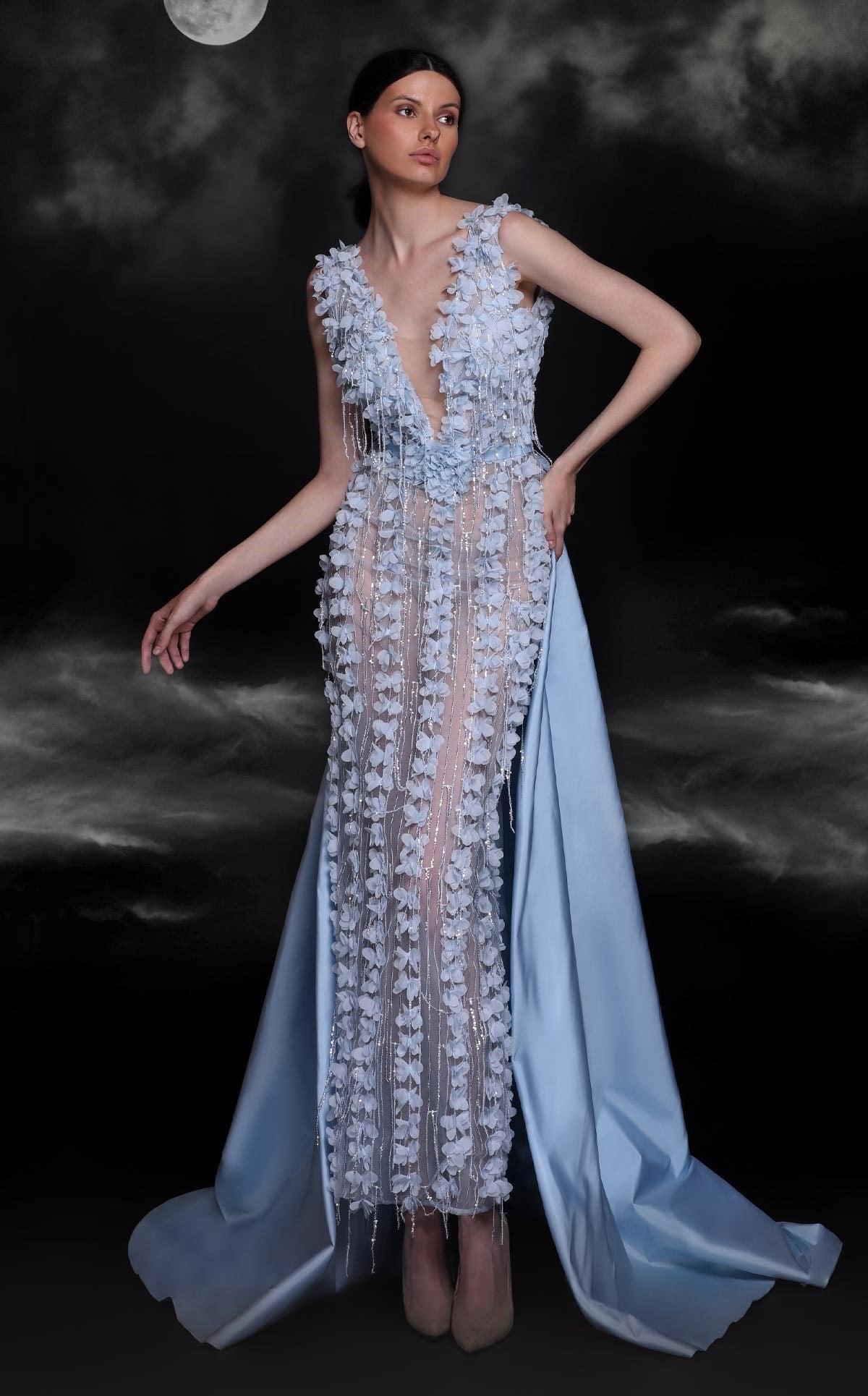 Applique Train Gown