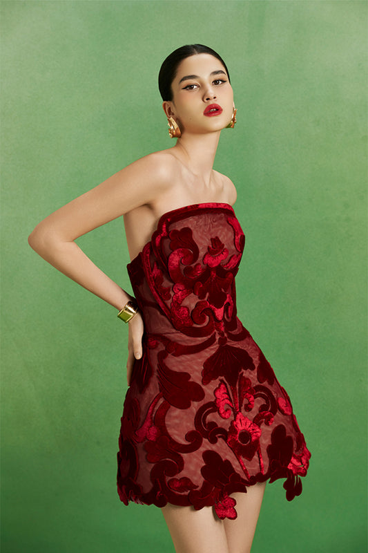 Velvet Shadows Dress