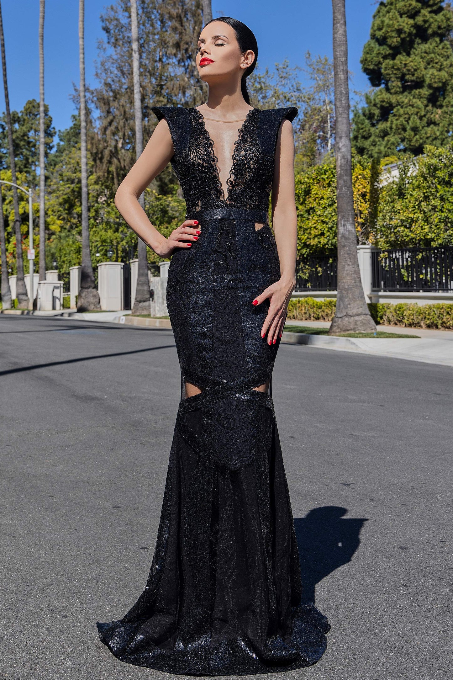 Lace and Sequin Trumpet Gown