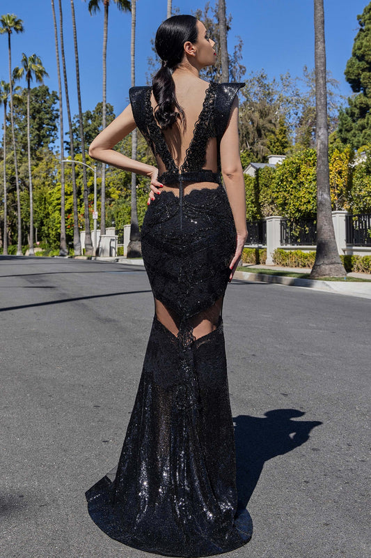 Lace Embroidered Mermaid Gown