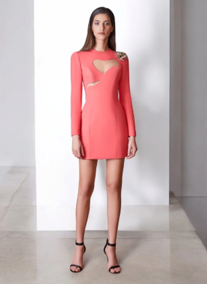 Long Sleeve Silk Mini Dress