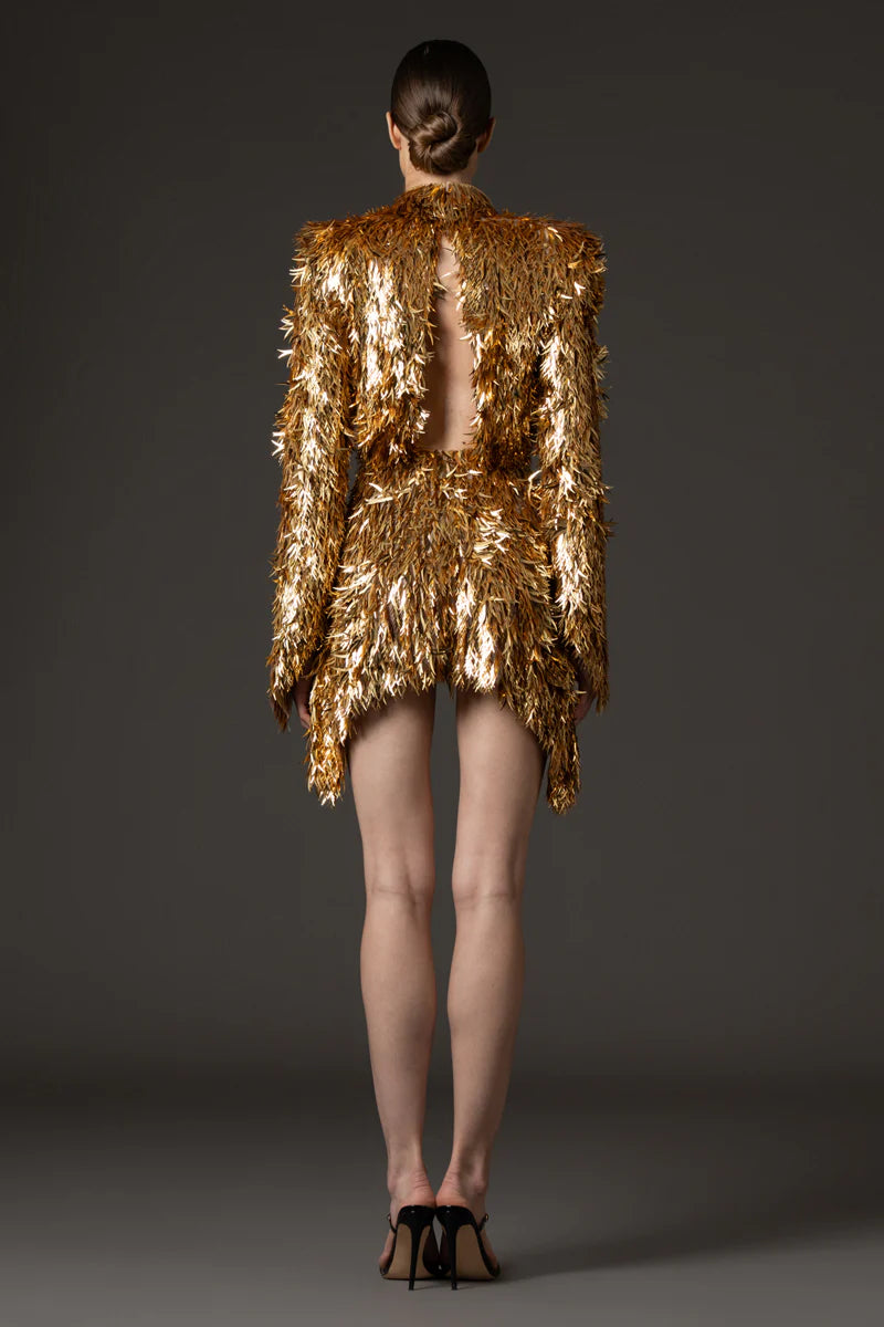 Short Gold Embroidered Tulle Dress