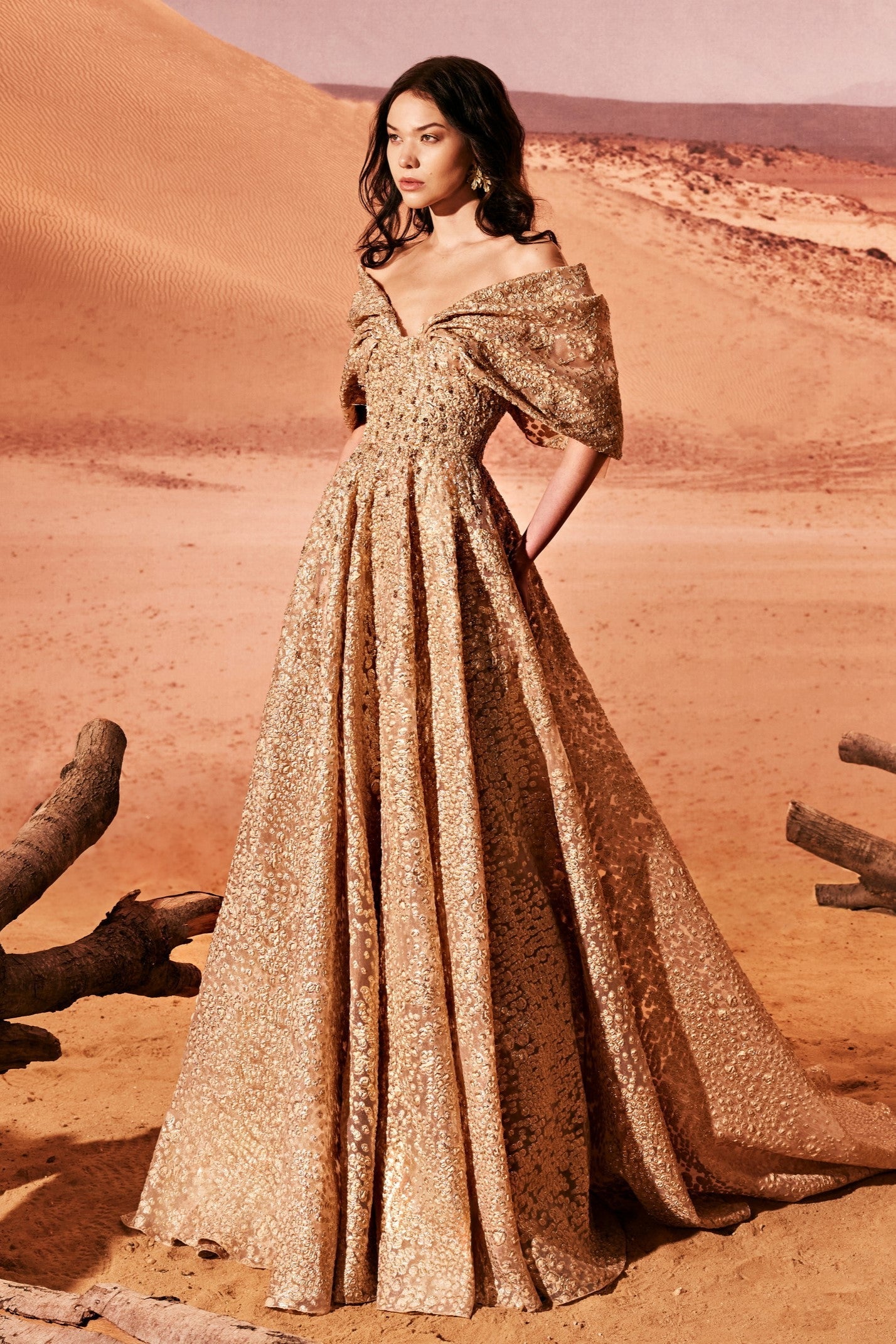Organza Jacquard Off Shoulder Gown