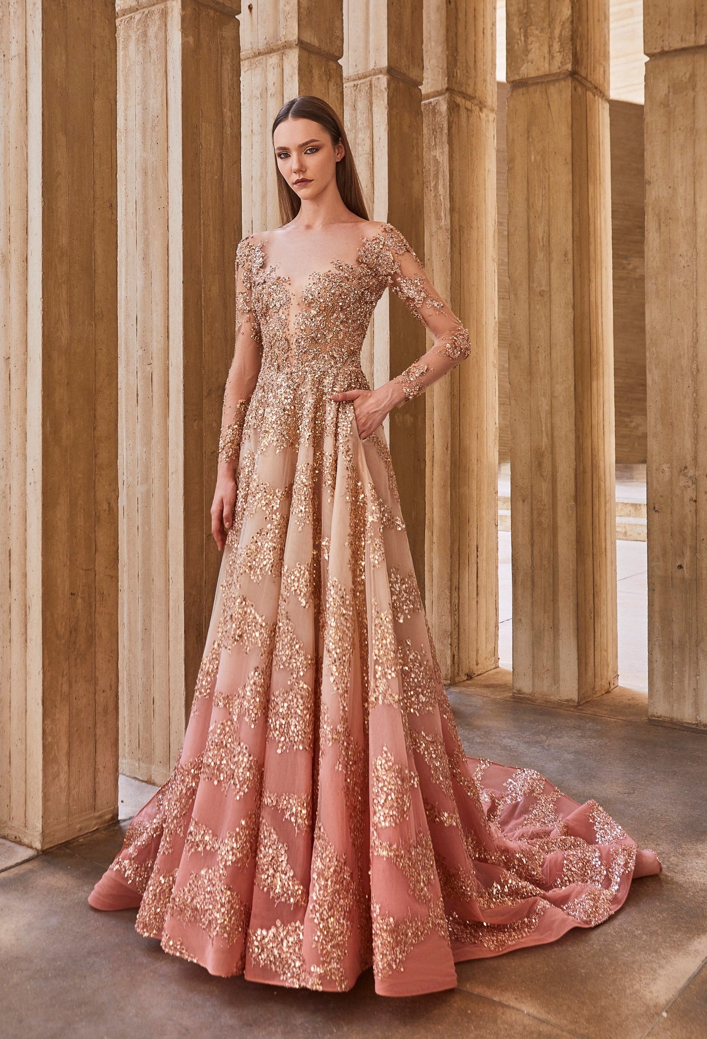Ombre Tulle Gown
