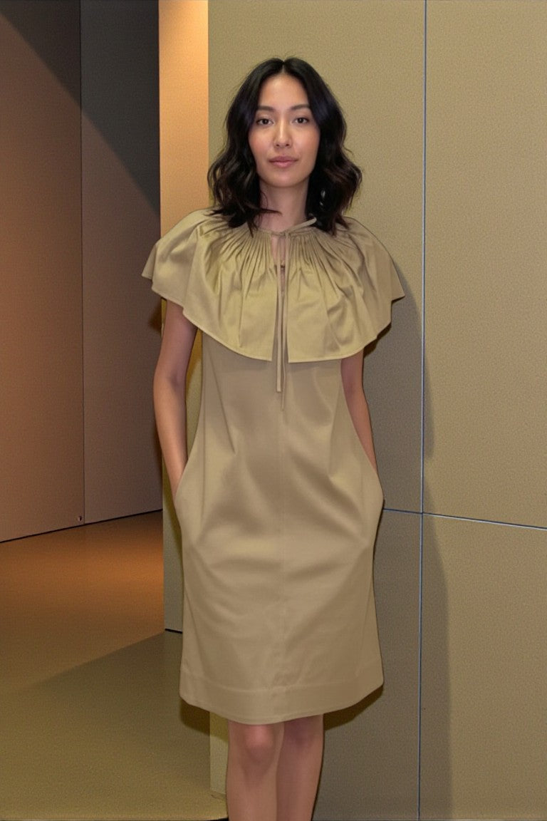 Oversized Collar Dress