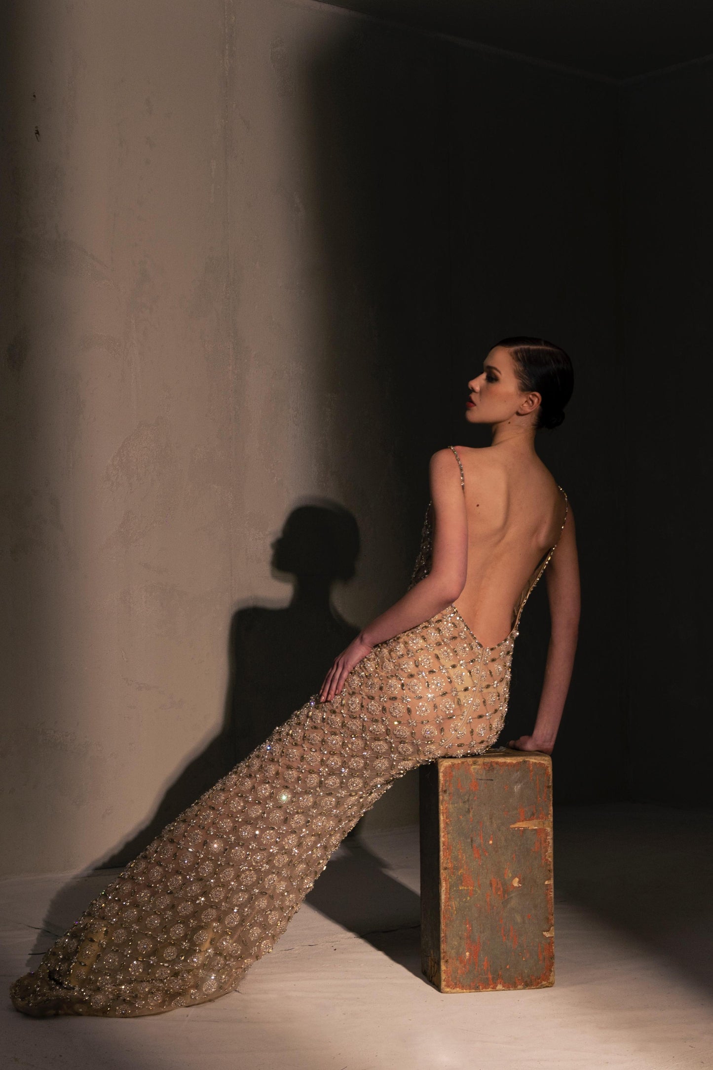 Embellished Gown with Tulle Cape