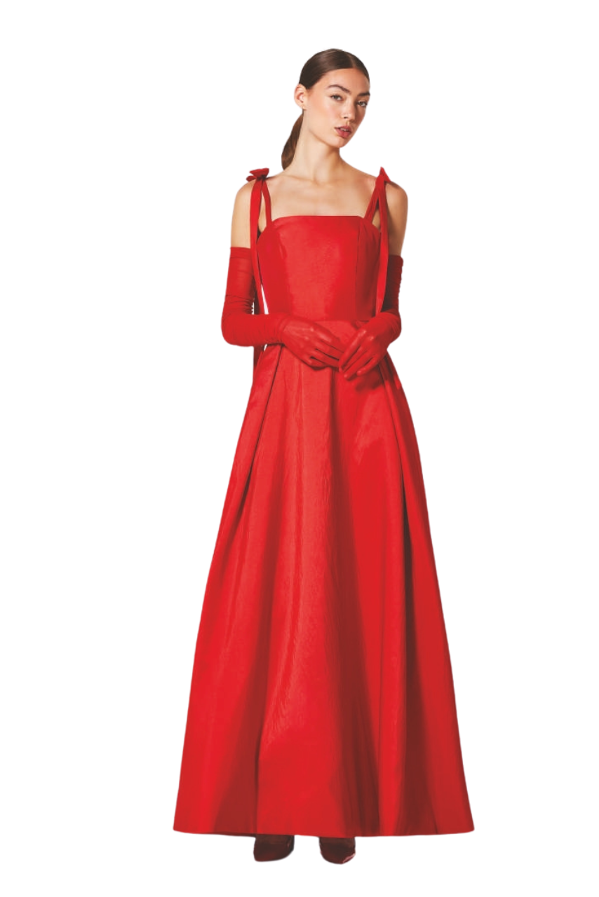 Anita Silk Gown