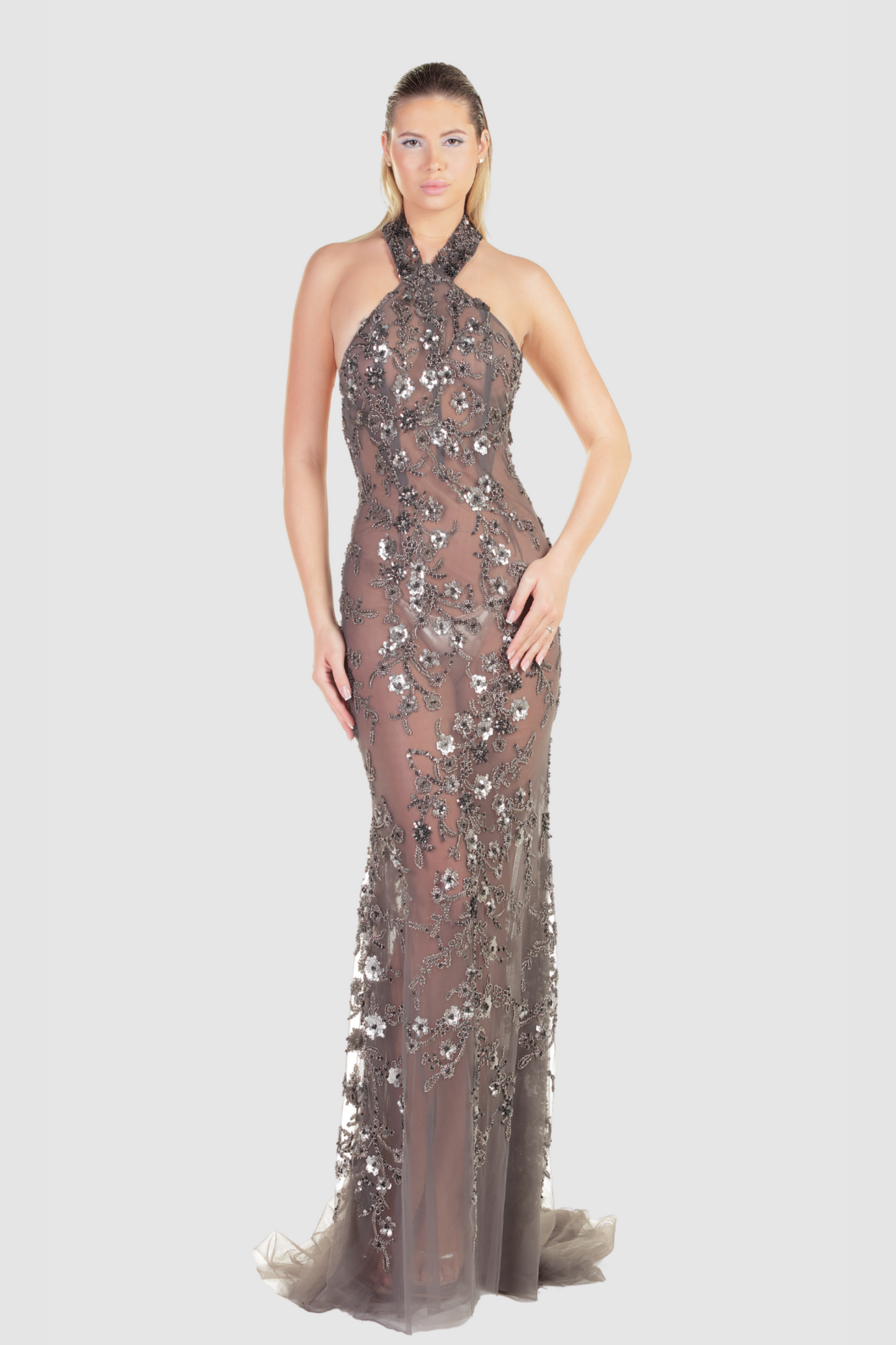 Sheer Floral Applique Gown