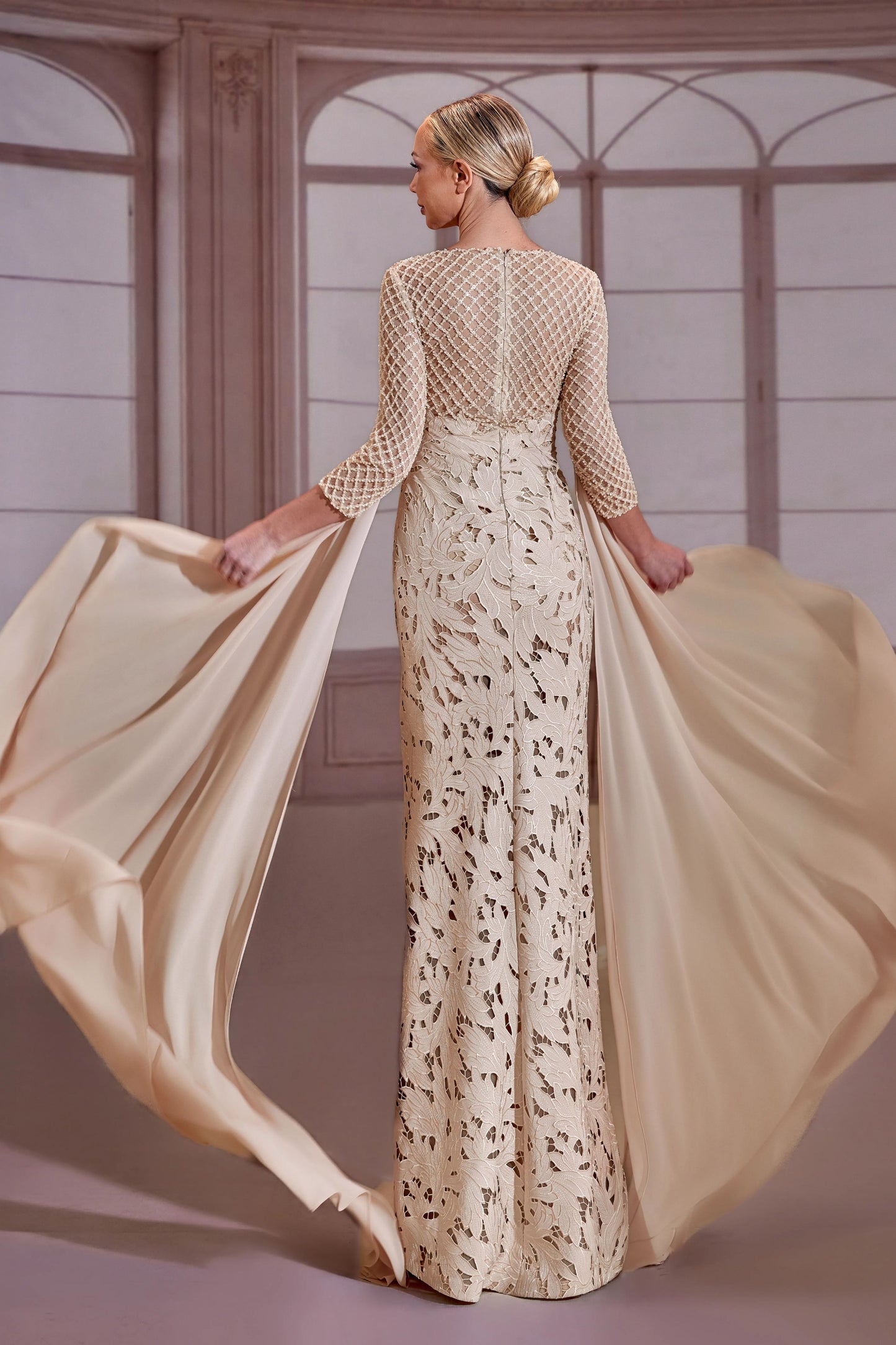 Champagne-Beige Mesh Sleeve Dress
