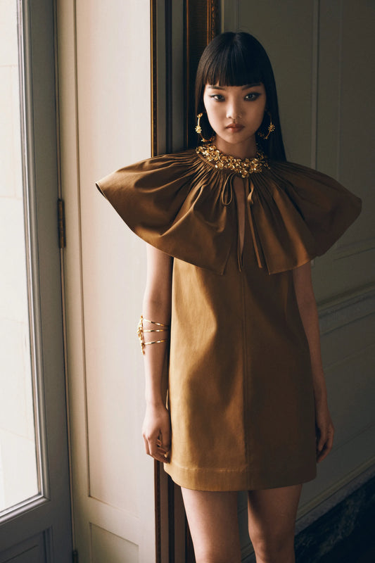 Oversized Collar Dress