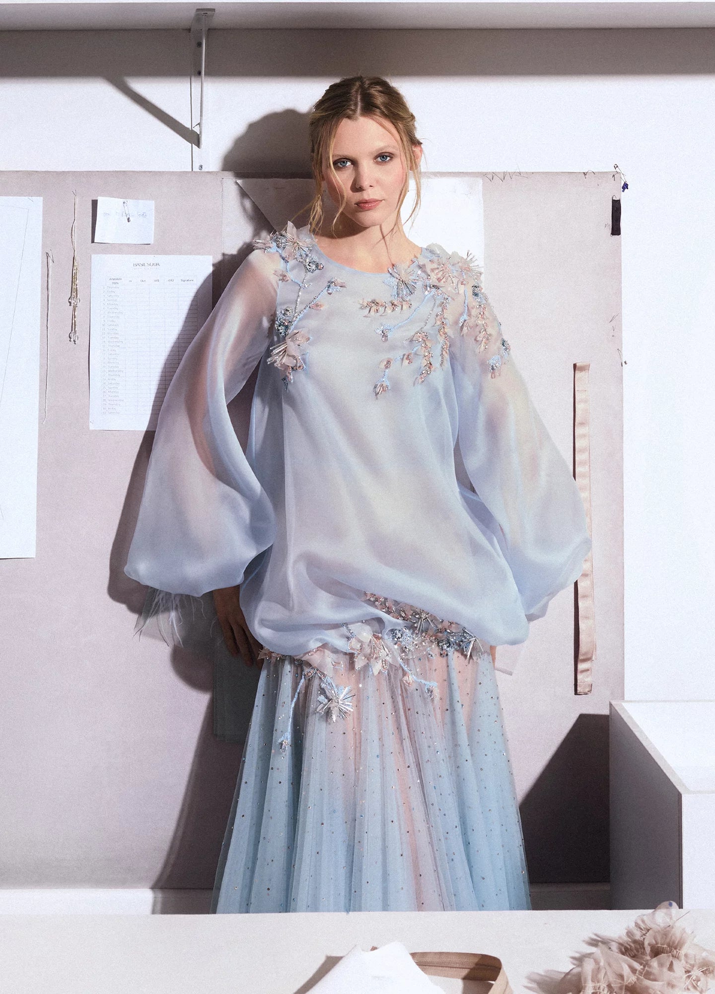 Long Sleeve Sheer Gown