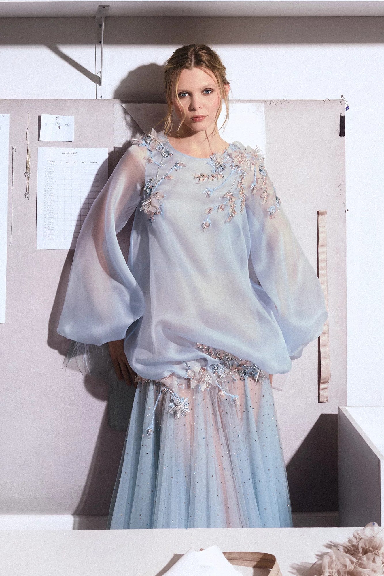 Long Sleeve Sheer Gown