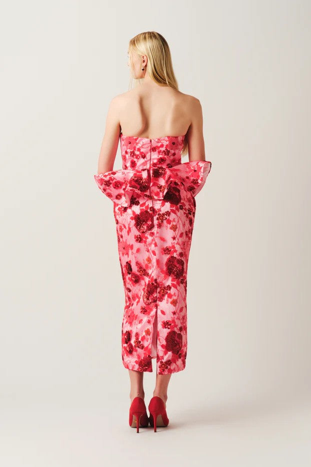 AMARYLLIS