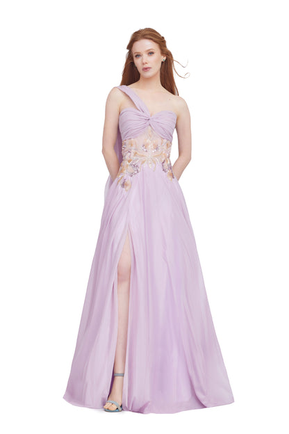 Embroidered Chiffon Gown