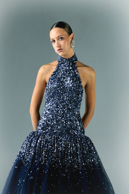 Embroidered Tulle Dress