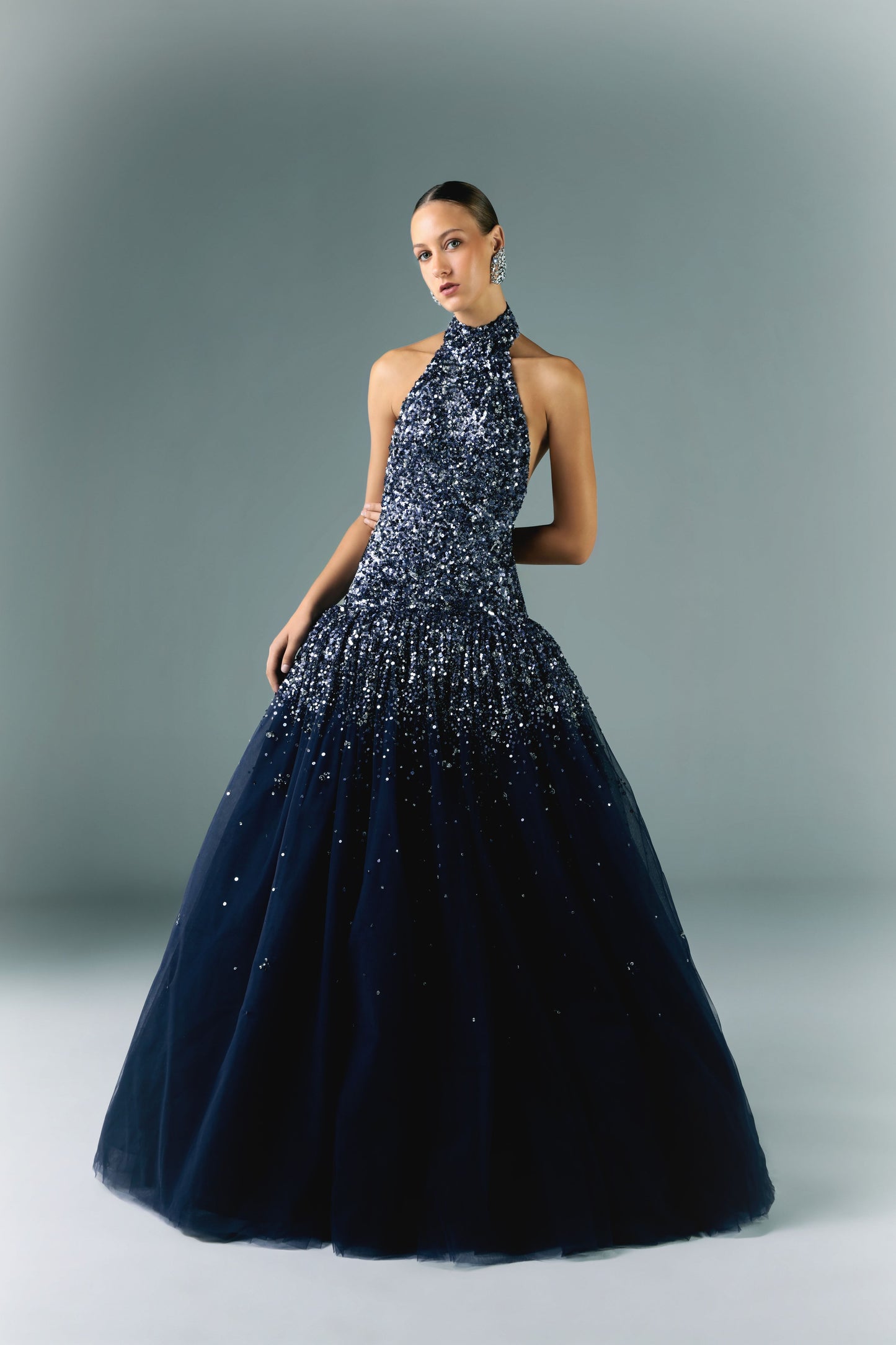 Embroidered Tulle Dress