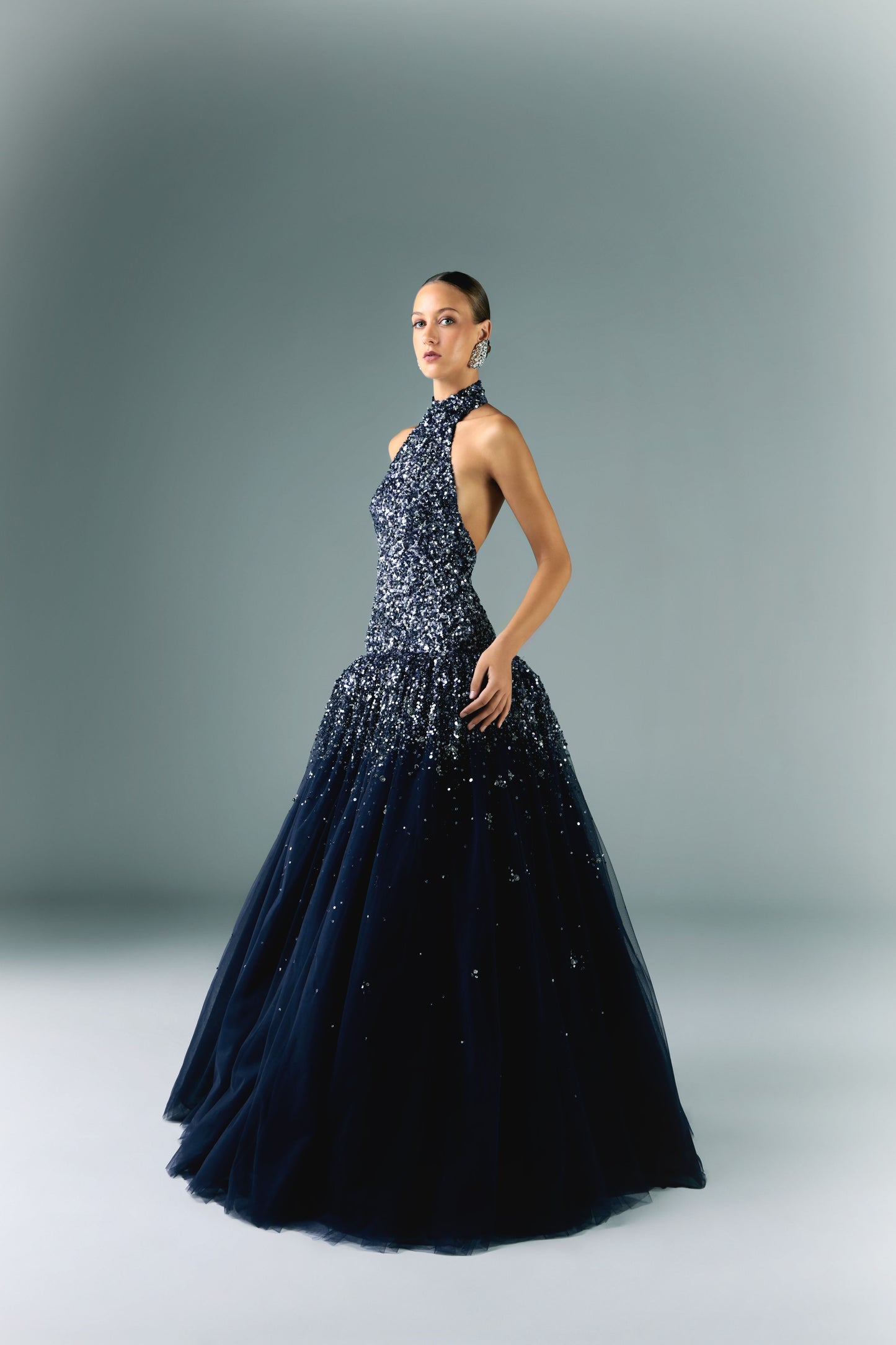 Embroidered Tulle Dress