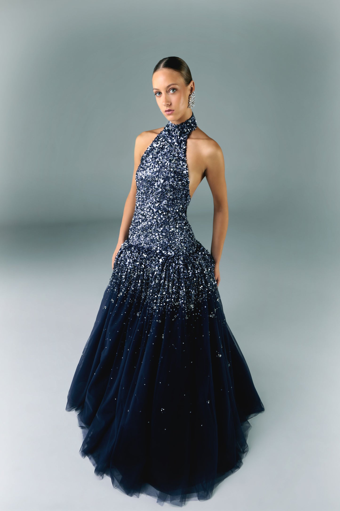 Embroidered Tulle Dress