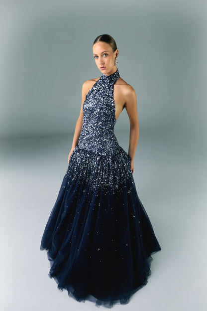 Embroidered Tulle Dress