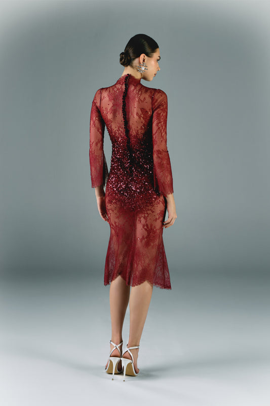 Lace Embroidered Midi Dress