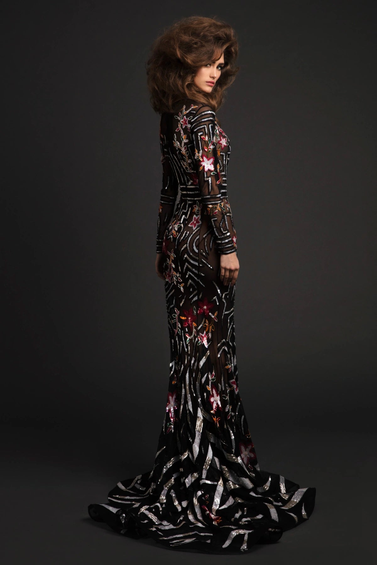 Long Sleeves Embellished Dress