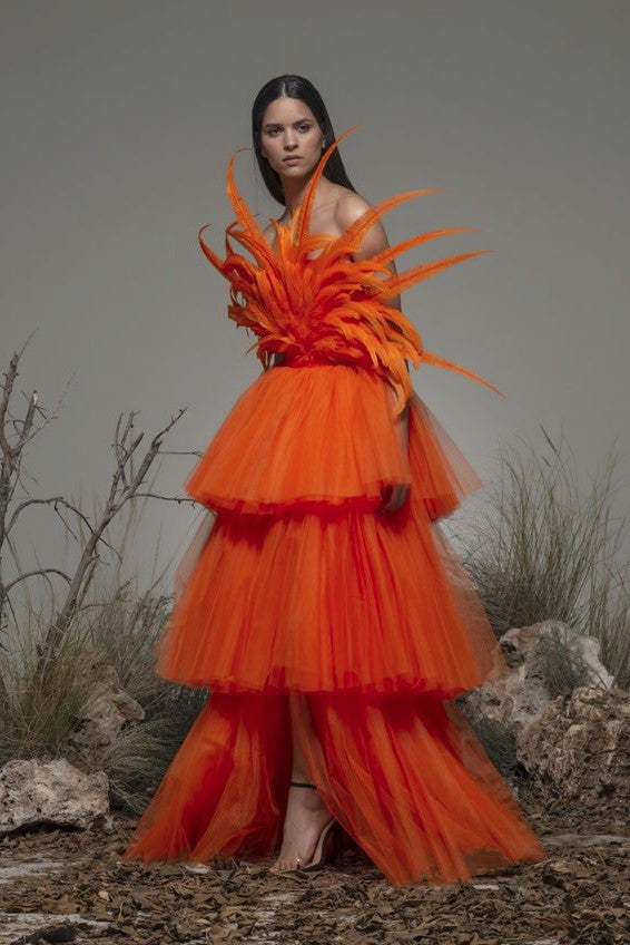 Bonito Feathered Tiered Gown
