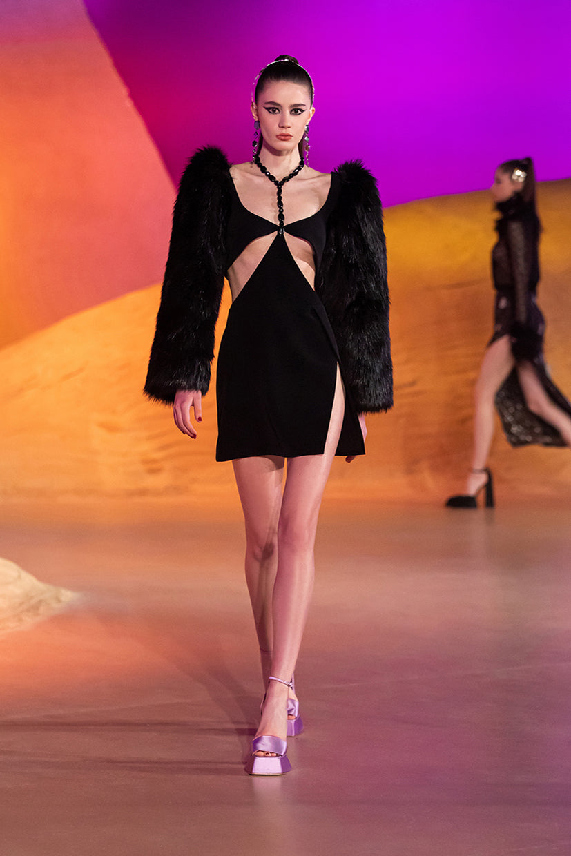 Long Feather Sleeve Mini Dress