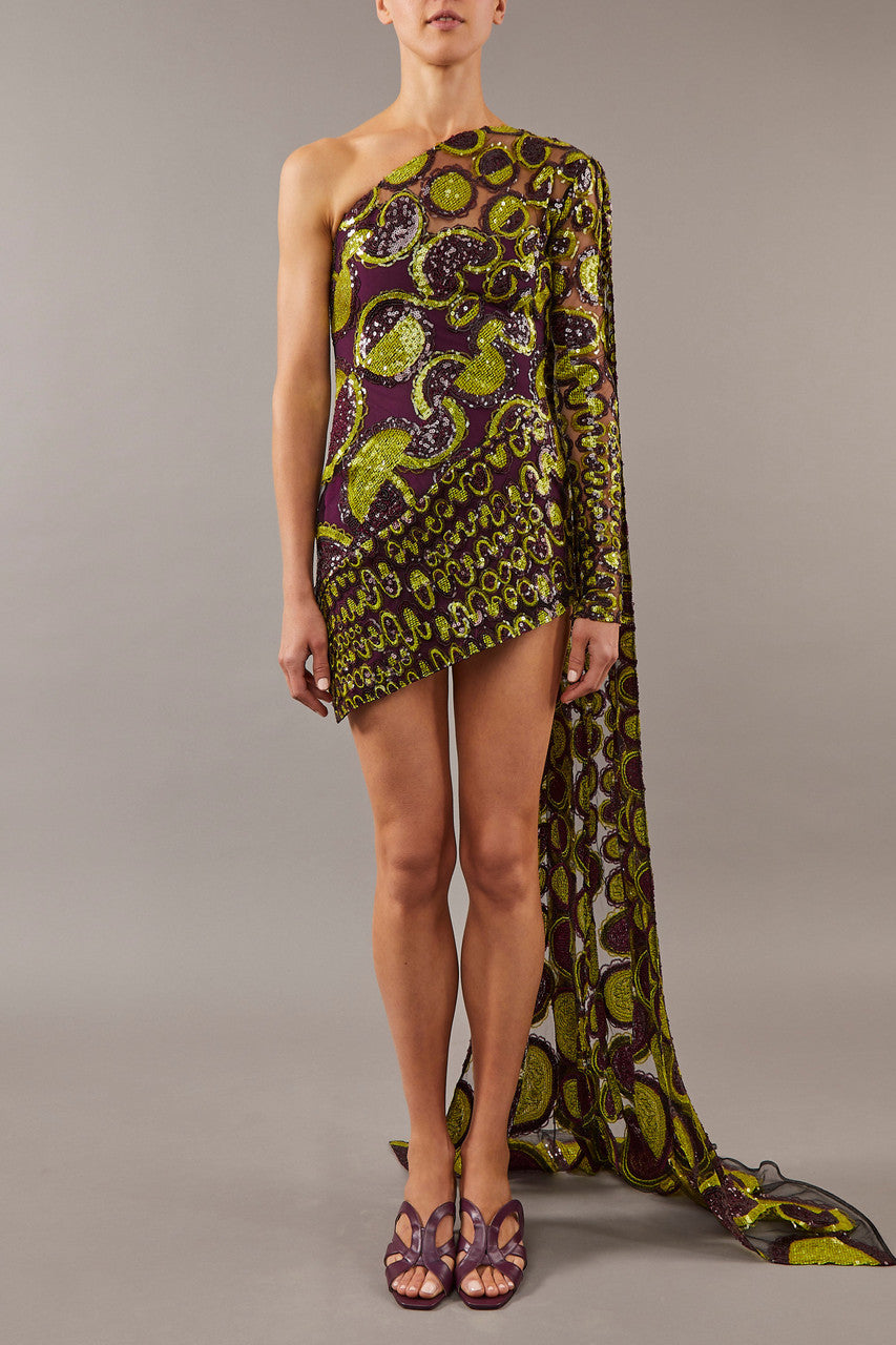 Draped Embroidered Dress