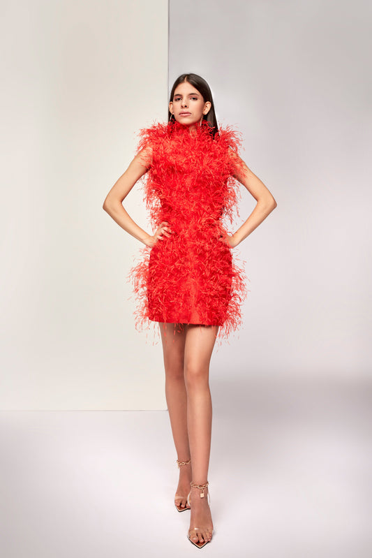Gazzo Mini Dress