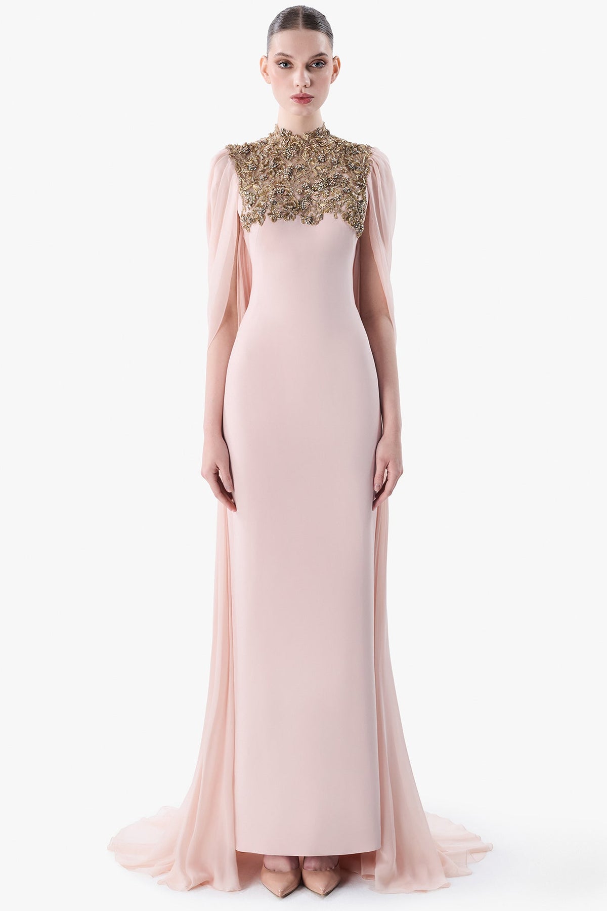 Embroidered High Neck Gown with Draped Chiffon Back