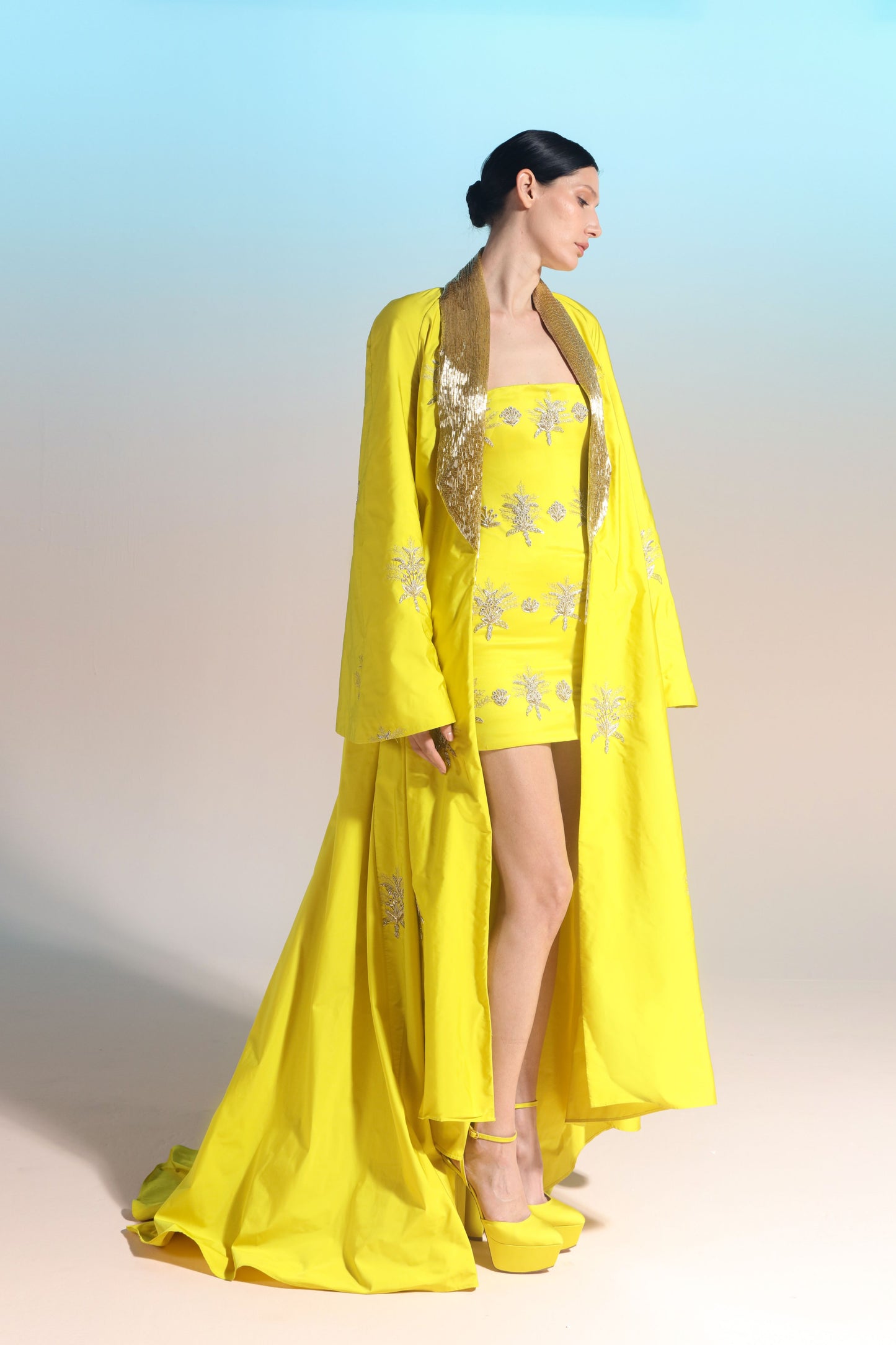 Strapless Mini Dress and Coat