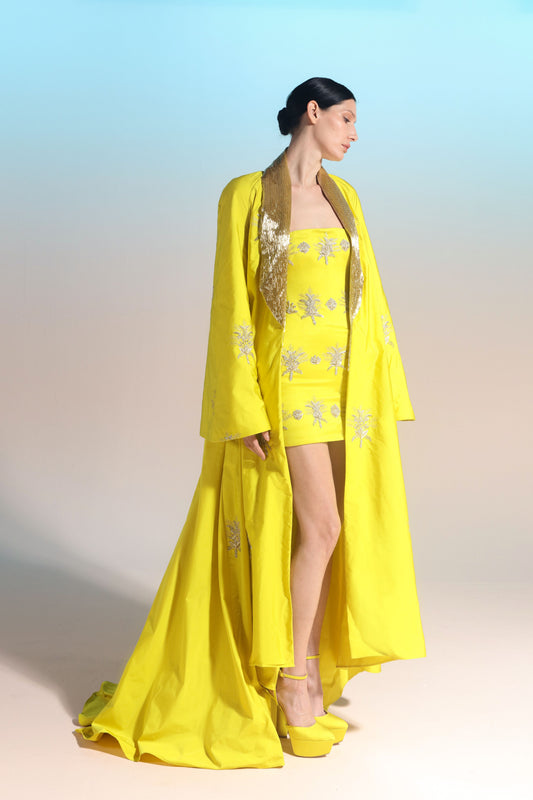 Strapless Mini Dress and Coat