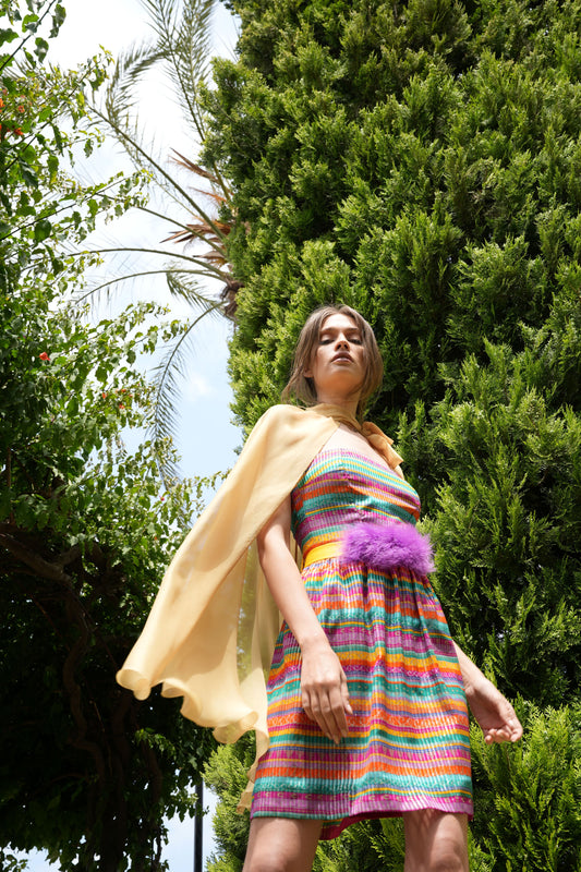Multicolor Dress with Chiffon Cape