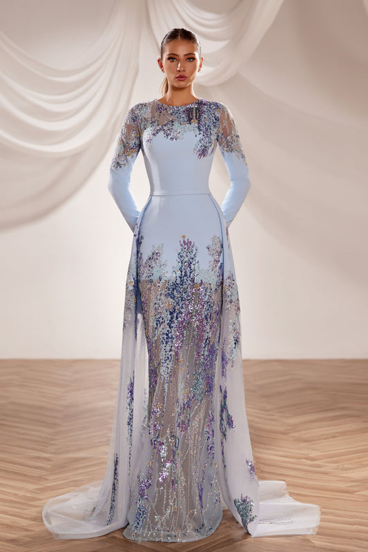 Long Sleeve Gown