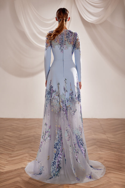Long Sleeve Gown