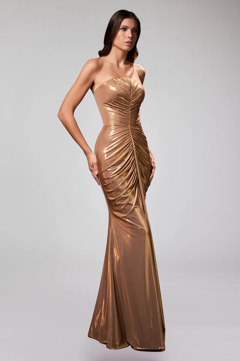 Starlet Gown